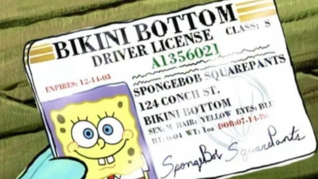 Carteira de Motorista do Bob Esponja