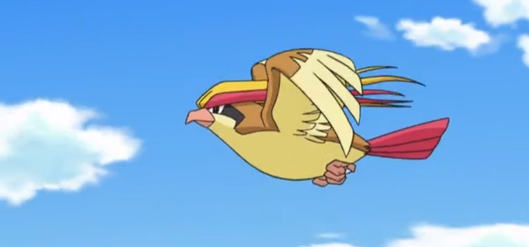 pokemon
