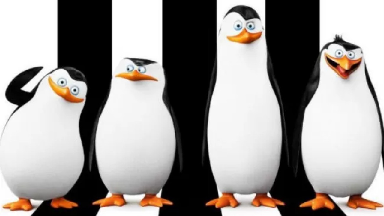 Pinguins de Madagascar