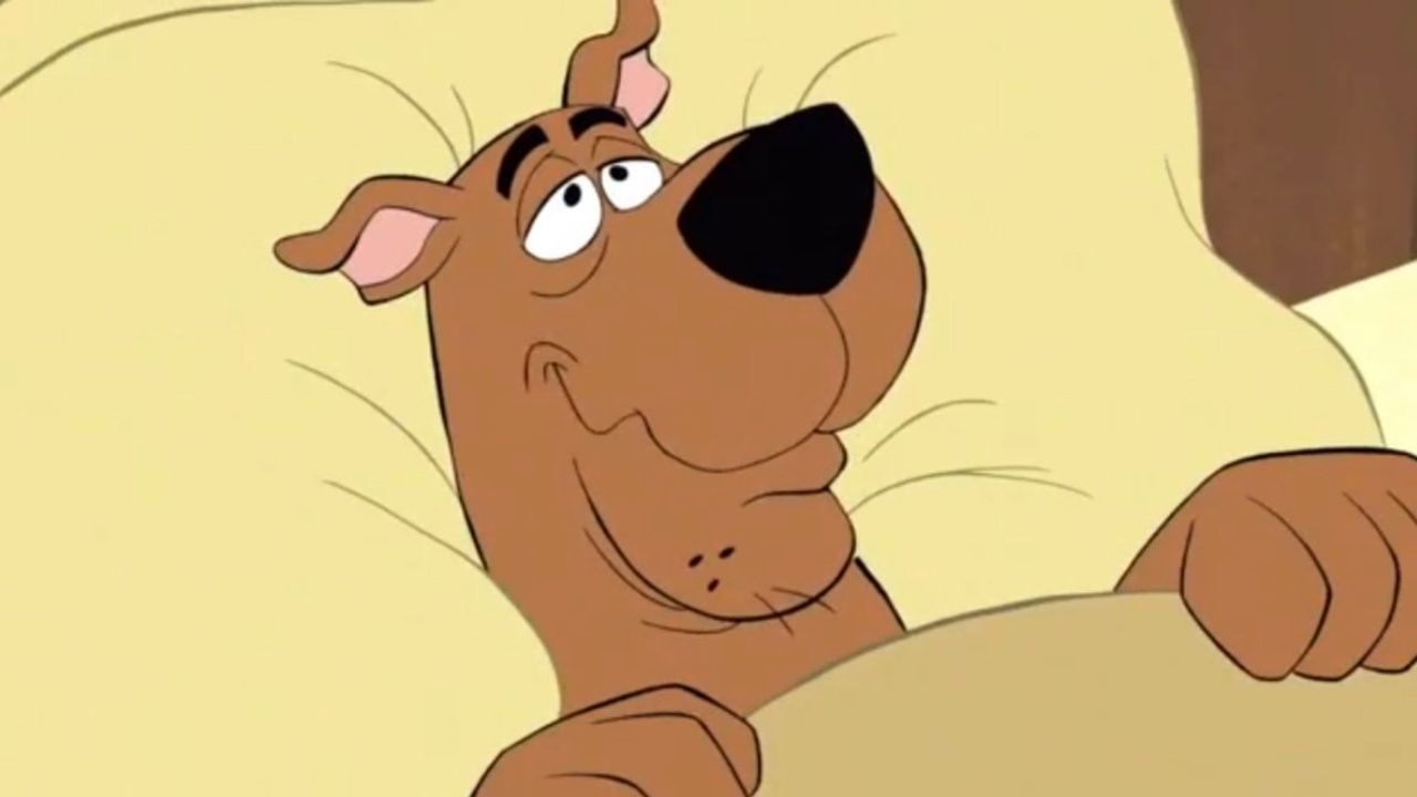 Afinal, os cachorros sonham?