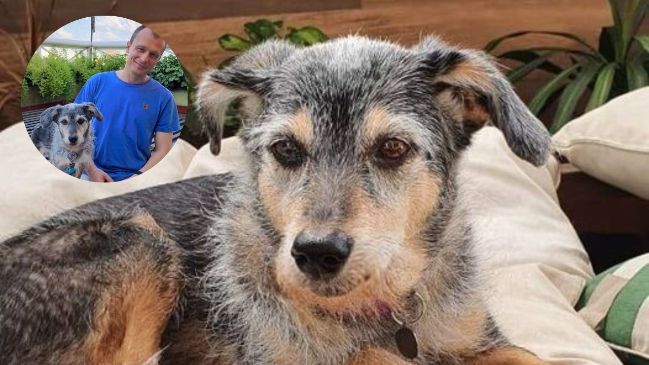 Estopinha, a primeira pet influencer do Brasil e companheira de Alexandre Rossi, está doente