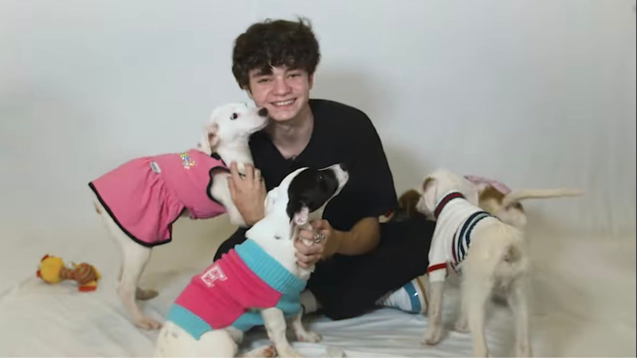 Cena mais difícil, inspiração, e herói da Marvel: Kevin Vechiatto responde fãs enquanto brinca com cachorros