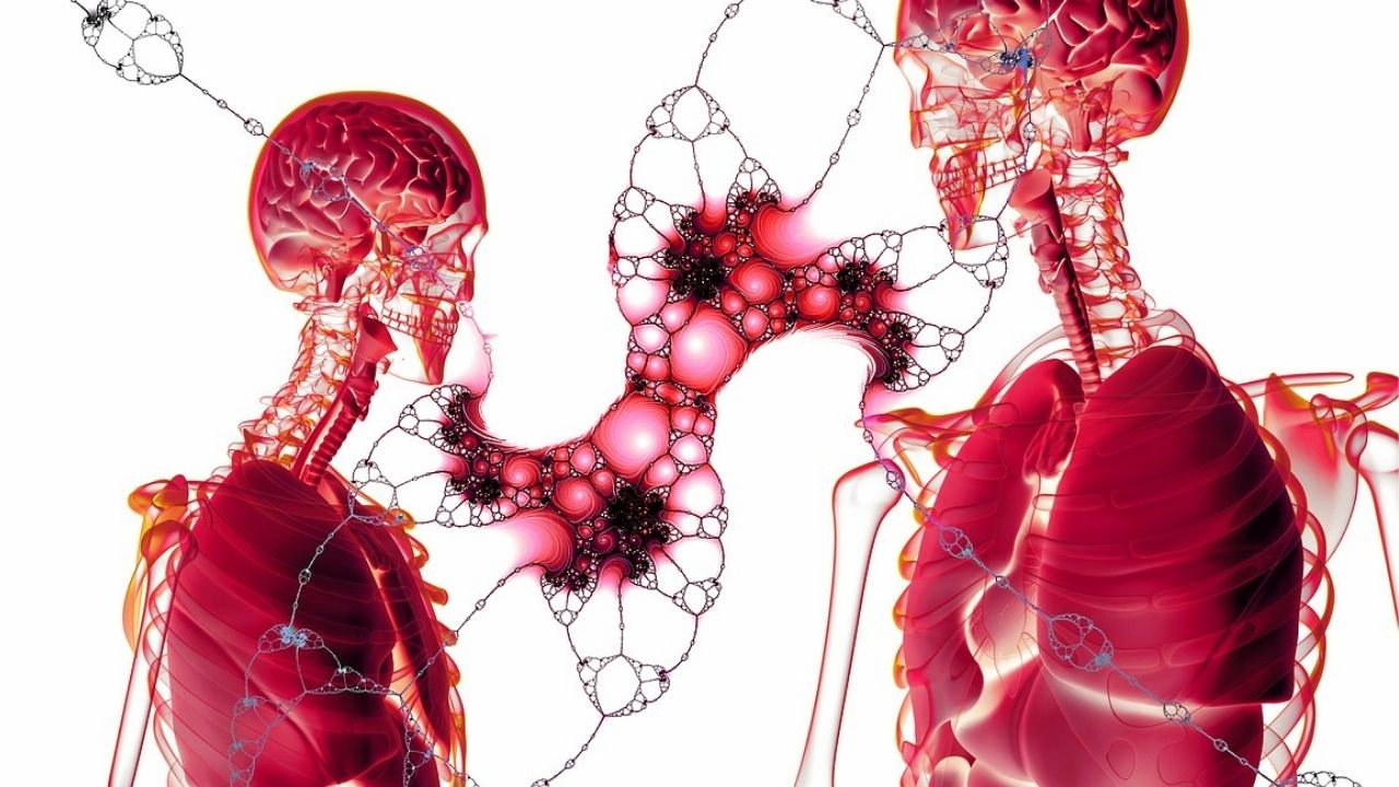 Quantas células formam o corpo humano?
