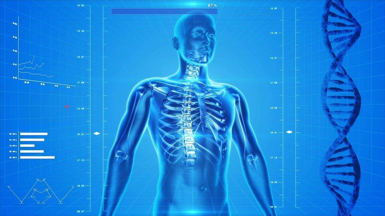 Desvende 10 enigmas sobre o corpo humano