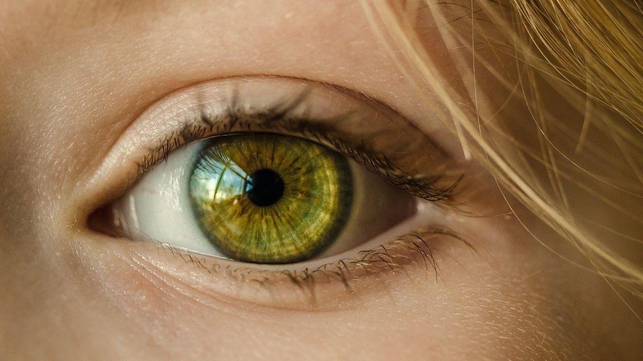 6 características que tornam você um ser humano único