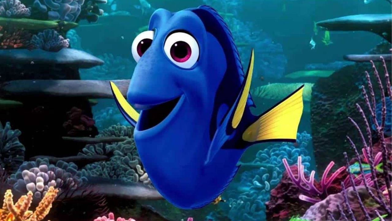 Dory