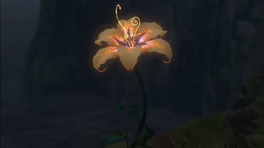 Flor de ‘Enrolados’
