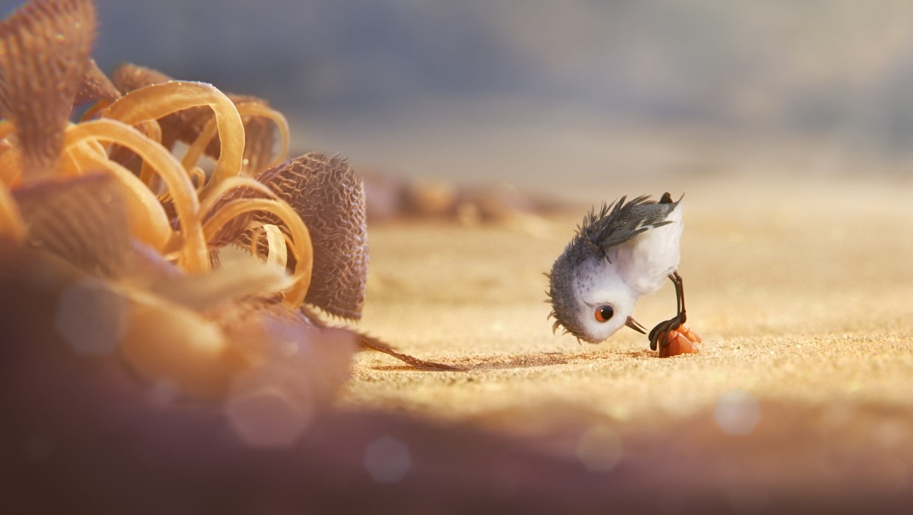 Piper: Descobrindo o Mundo