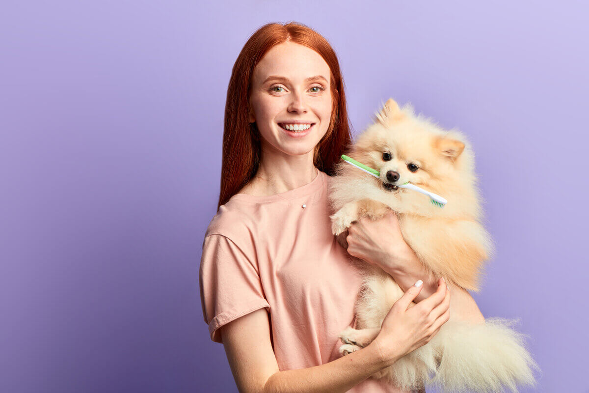 Veja como cuidar dos dentes do seu cachorro