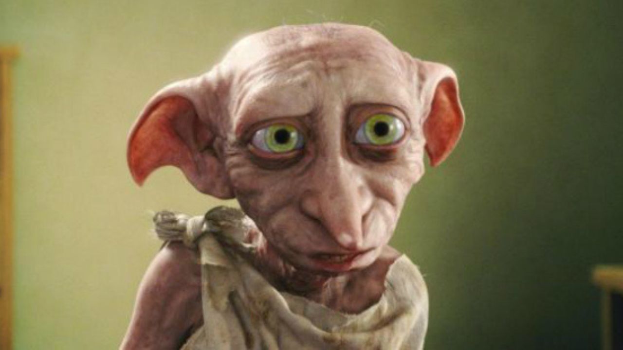 Harry Potter: País de Gales pede que os fãs parem de deixar meias a Dobby