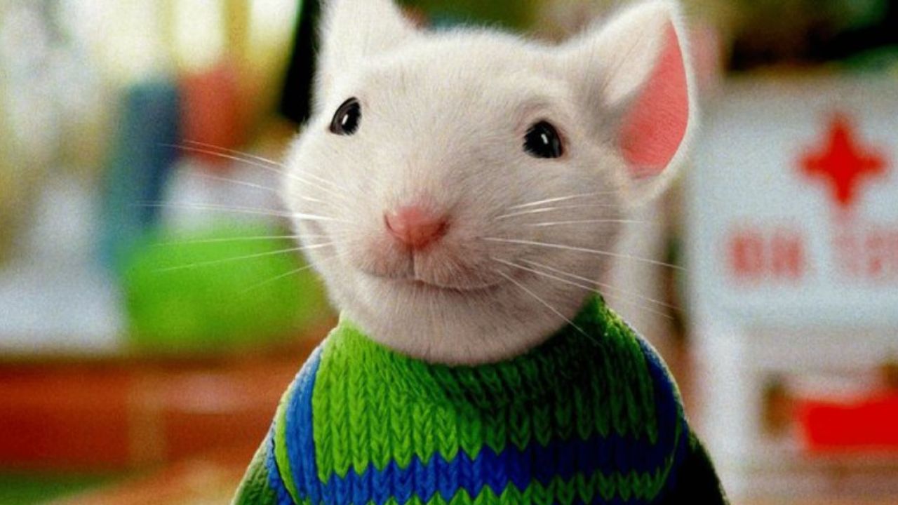 Stuart Little