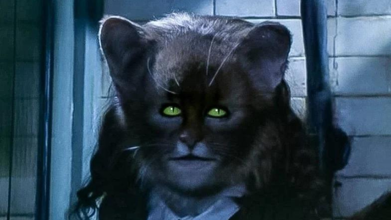 Hermione Granger após tomar a poção pollisuco 