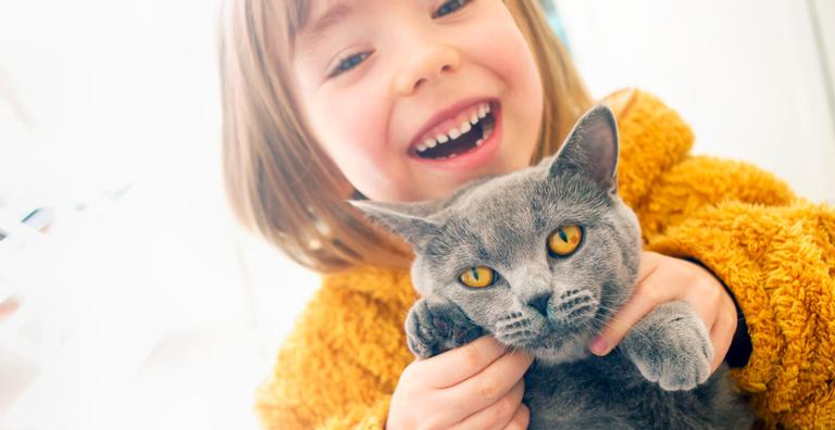 Tudo o que você precisa saber antes de adotar um gato