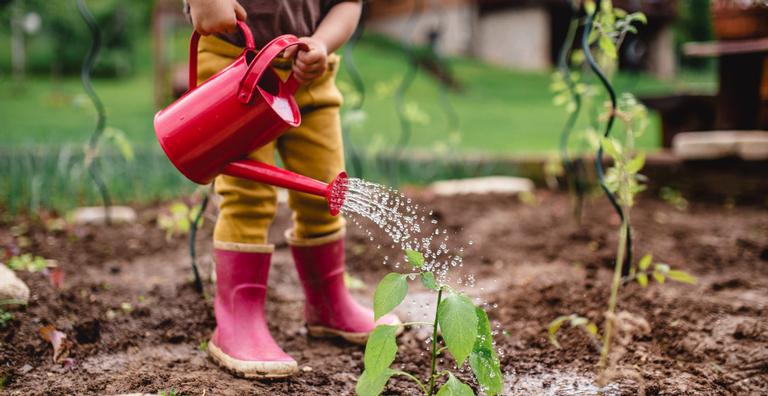 Dicas para montar uma horta em casa