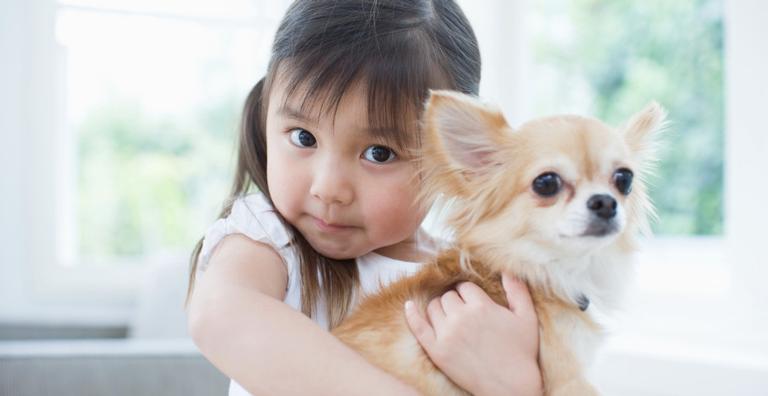 Será que você está pronto para ter um cão ou gato?