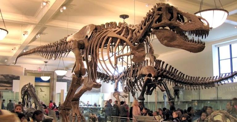 7 museus virtuais para visitar sem sair de casa