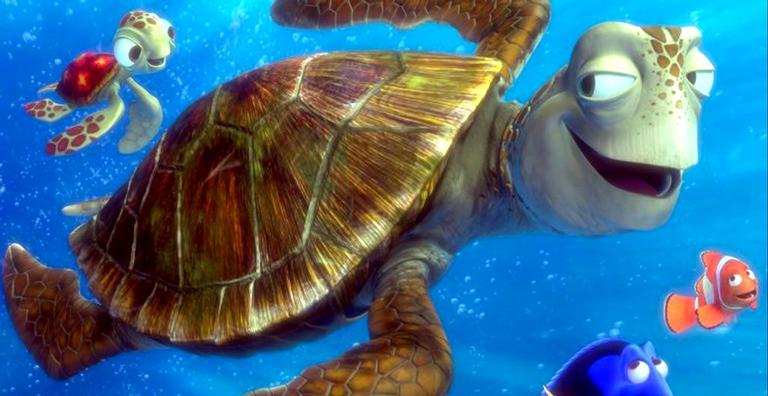 Qual a diferença entre tartarugas, jabutis e cágados?