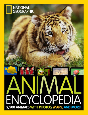 animais