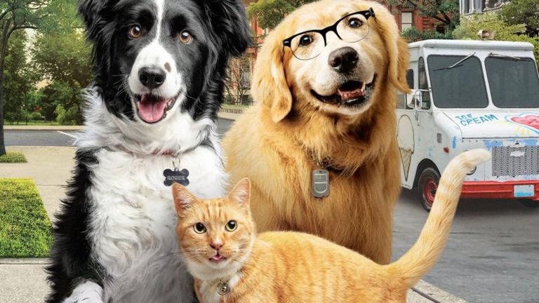 Como Cães e Gatos 3 ganha trailer; assista!