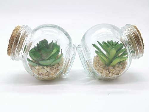 plantas