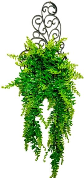 plantas