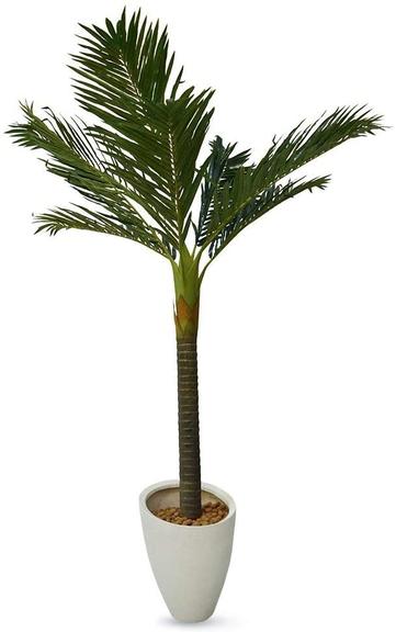 plantas