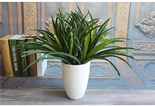 plantas
