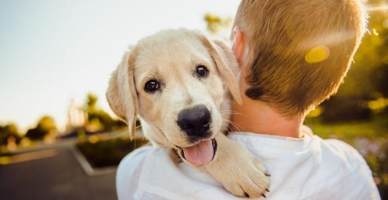 Quais são os nomes de cachorro mais comuns no Brasil?