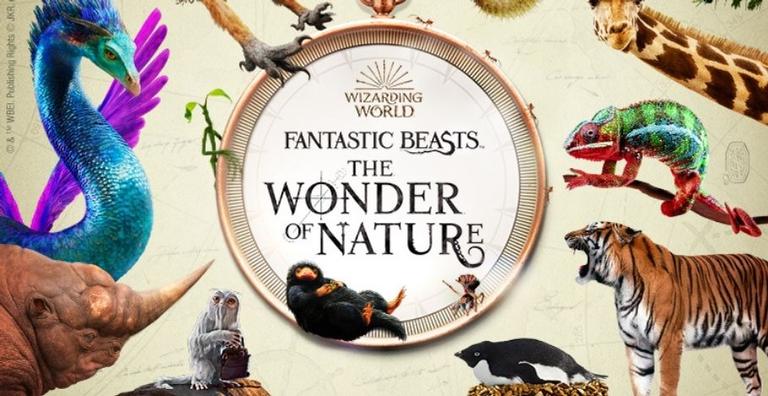 Criaturas mágicas de Harry Potter estão em exposição no Museu de História Natural de Londres