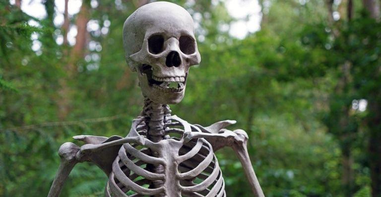 7 curiosidades que talvez você não sabia sobre o crânio humano