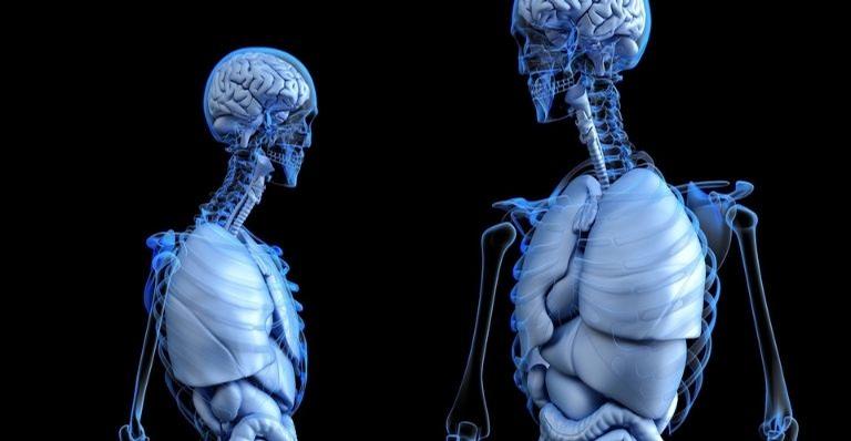 Conheça a verdade por trás de 10 mitos sobre o corpo humano