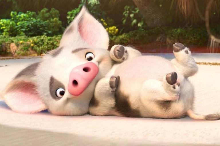 pua