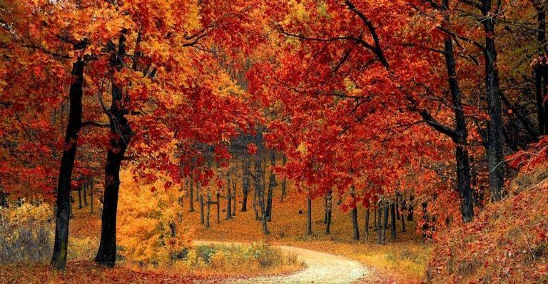 De onde vem as diferentes cores da natureza?