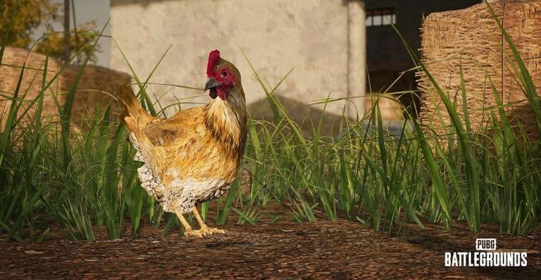 Galinhas invadem o PUBG: BATTLEGROUNDS na atualização 14.2