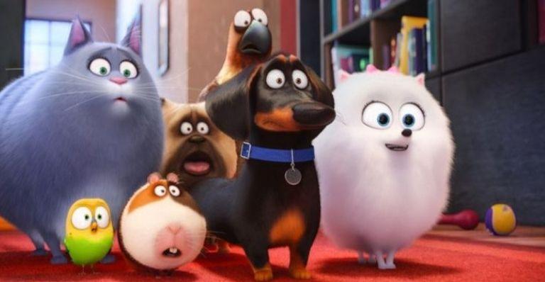 Saiba qual é a menor raça de cachorro do mundo