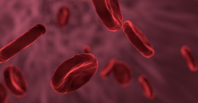 Confira 10 fatos curiosos sobre o sangue