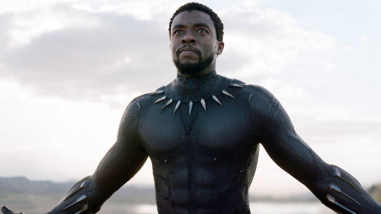 5 curiosidades que talvez você não sabia sobre a franquia de ‘Pantera Negra’