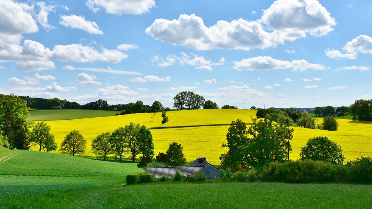 Qual é a diferença entre tempo e clima?