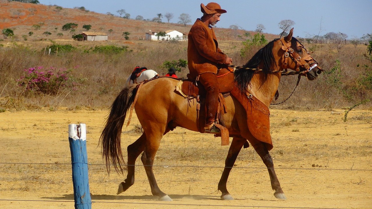 caatinga