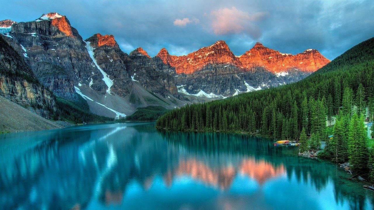 12 perguntas sobre a natureza que todo mundo já se fez