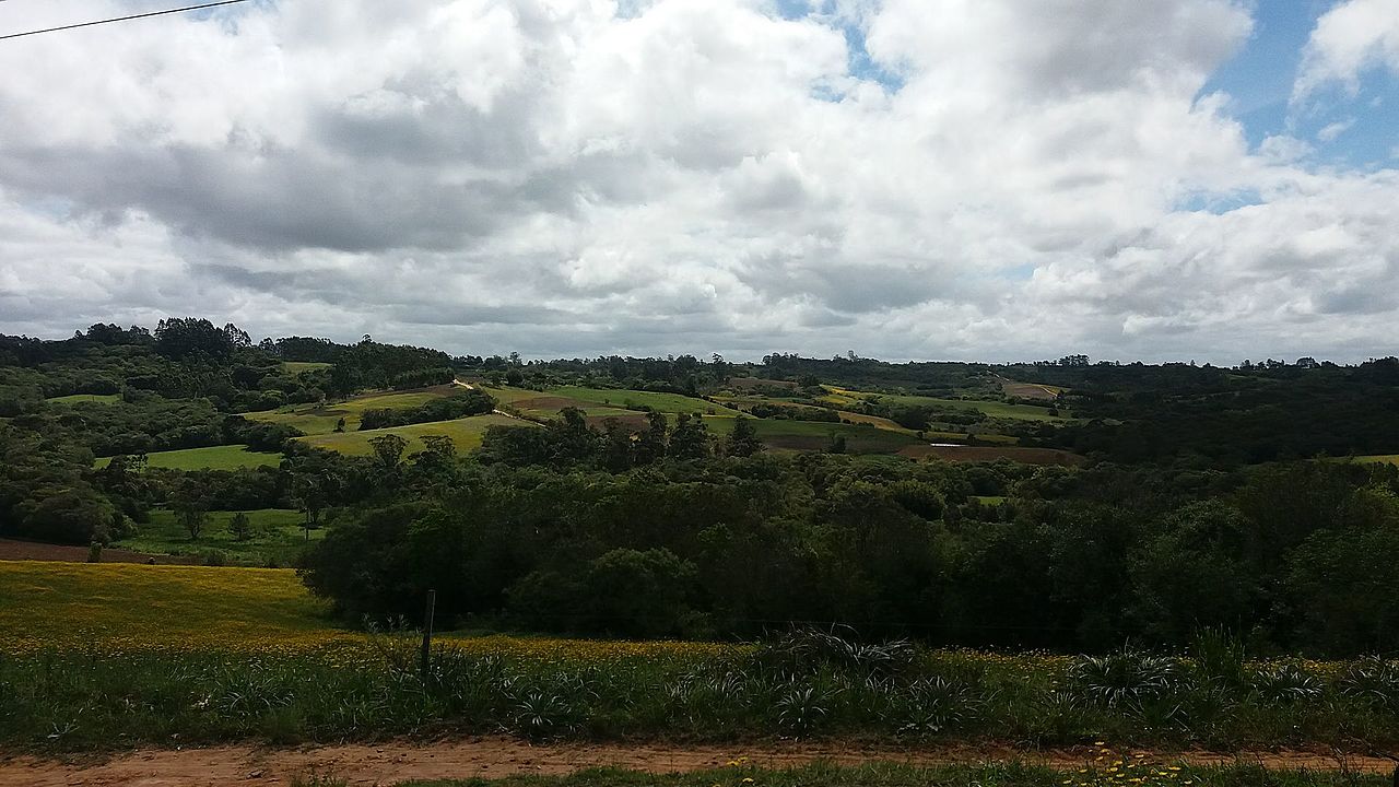 pampa