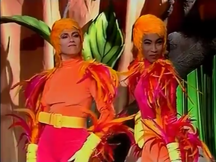 passarinhas