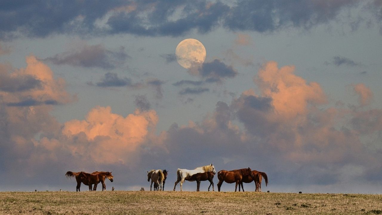 Por que a Lua ainda aparece de manhã, quando o Sol já surgiu?